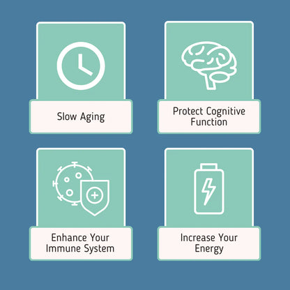 NAD+ Liposomal Anti-Aging Supplement Complex AEON with Nicotinamide DUO™
